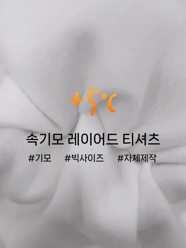 당일출고 [반팔&긴팔] 히터 +5℃ 기모 레이어드 빅사이즈 티셔츠