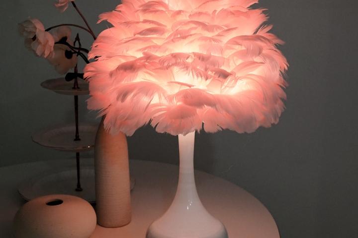 깃털 무드등 수유등 단스탠드 집들이 선물 감성 인테리어 조명 LUAZ-20Q