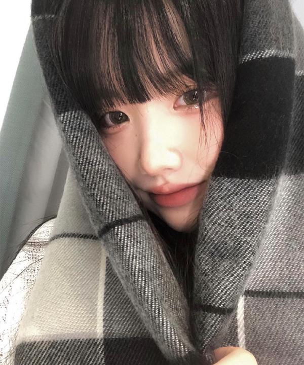 드라이 체크 머플러 (2color)