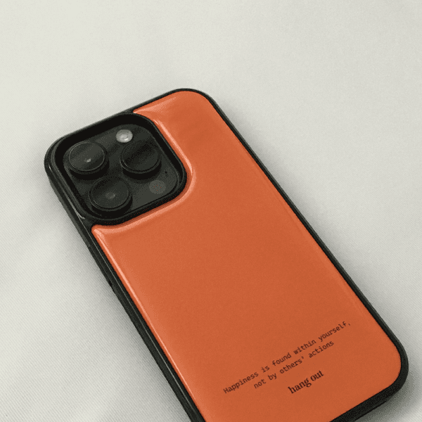 주문제작 / Orange carrot case