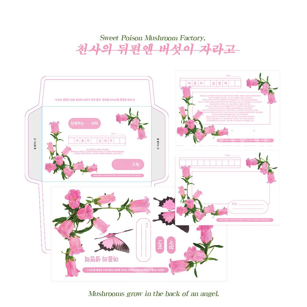 [CDBZ] 여름의 생명력 편지 세트