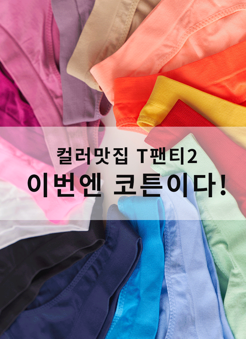 #컬러맛집 T팬티2