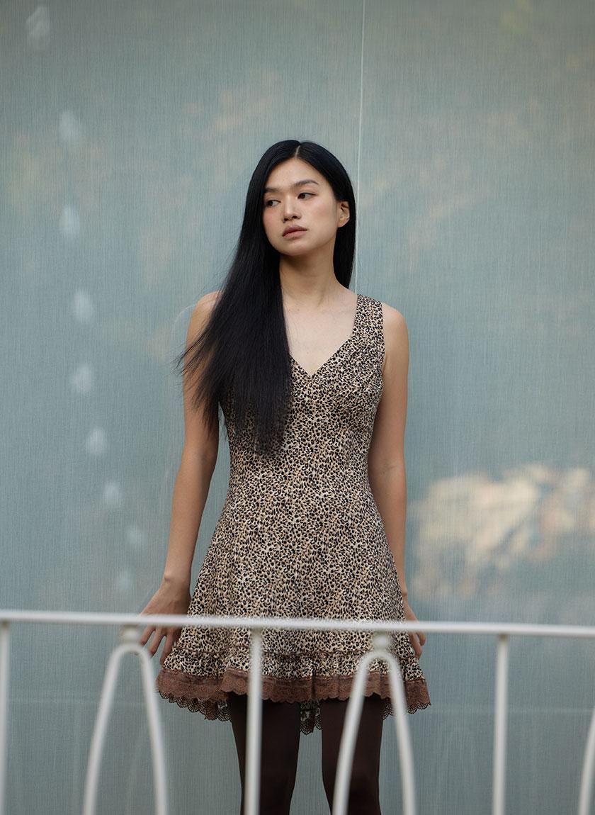 Leo Shushu Dress (Brown)