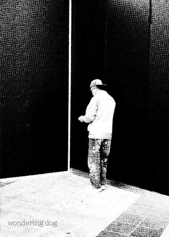떠돌이 개 2 (wondering dog 2)
