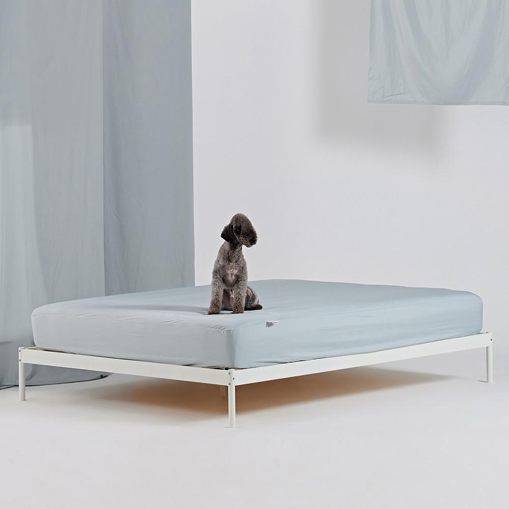 반려동물과 함께 쓰는 알러지케어 나란히 매트리스커버