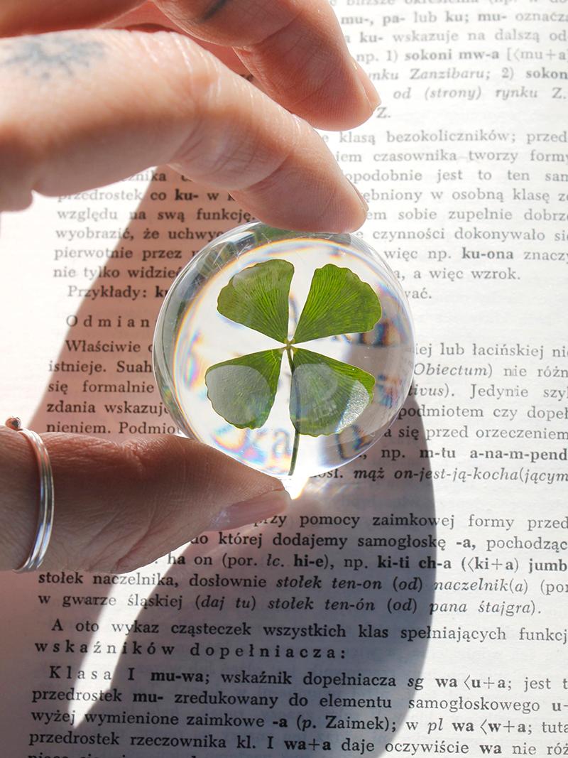 clover petit paperweight