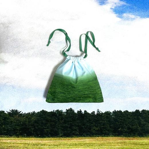 Gangwondo meadow pouch bag