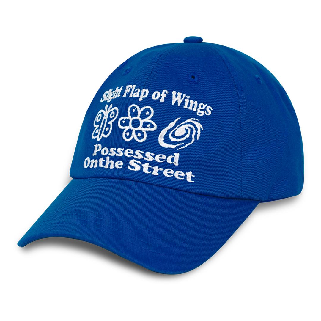 BUTTER FLY CAP (BLUE)