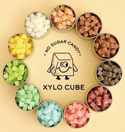 ❤️맛있는당0g❤️무설탕 자일리톨캔디 70g