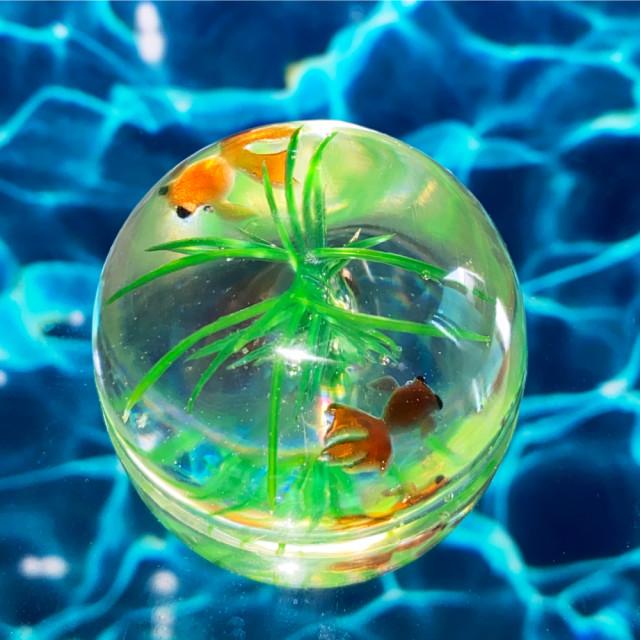Fishbowl 피쉬볼 어항 그립톡 반원구 레진그립톡