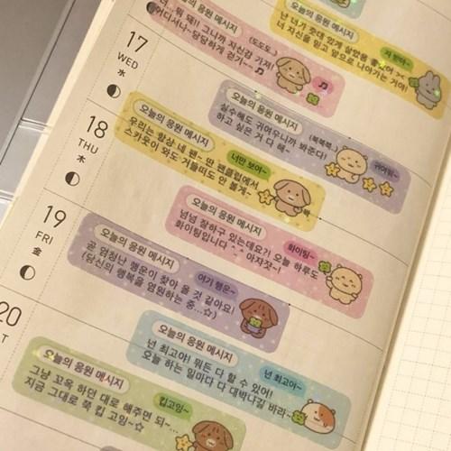 오늘의 응원 메시지 키스컷 테이프