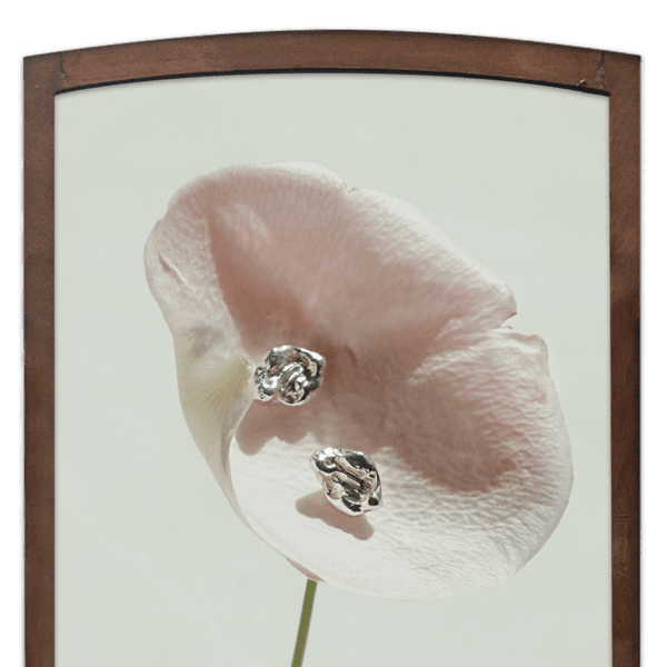 Petal, silver earrings
