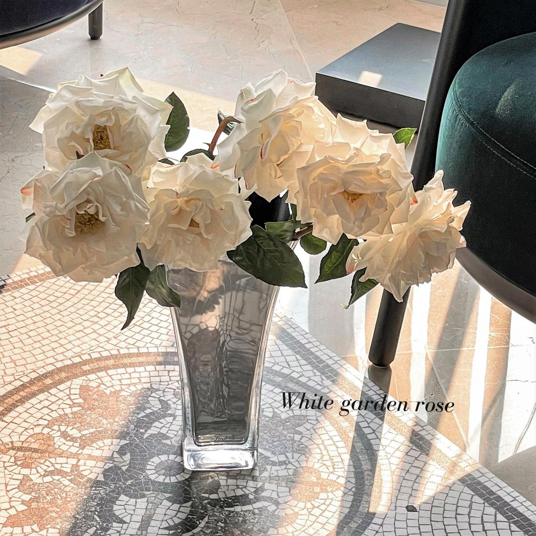 White garden rose (1송이) -Amaranthine Blooms