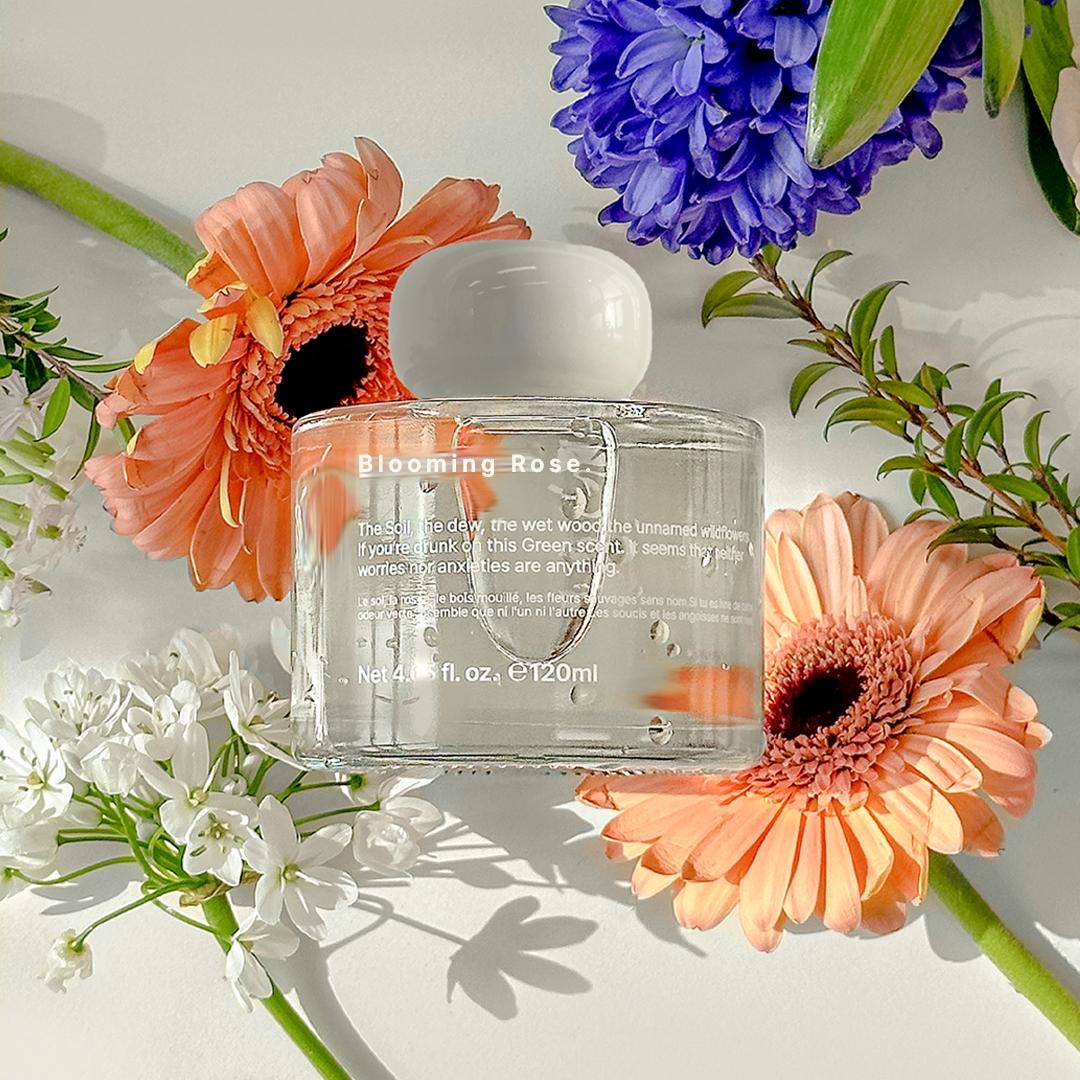 생 장미 퍼퓸 디퓨져 120ml, Blooming Rose Diffuser 120ml