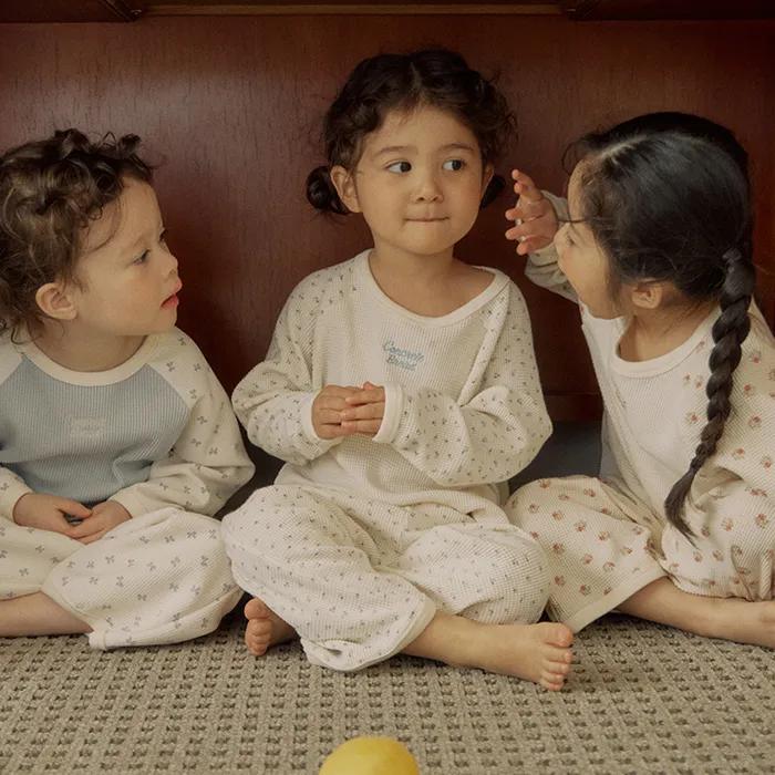 파우더 와플 상하세트