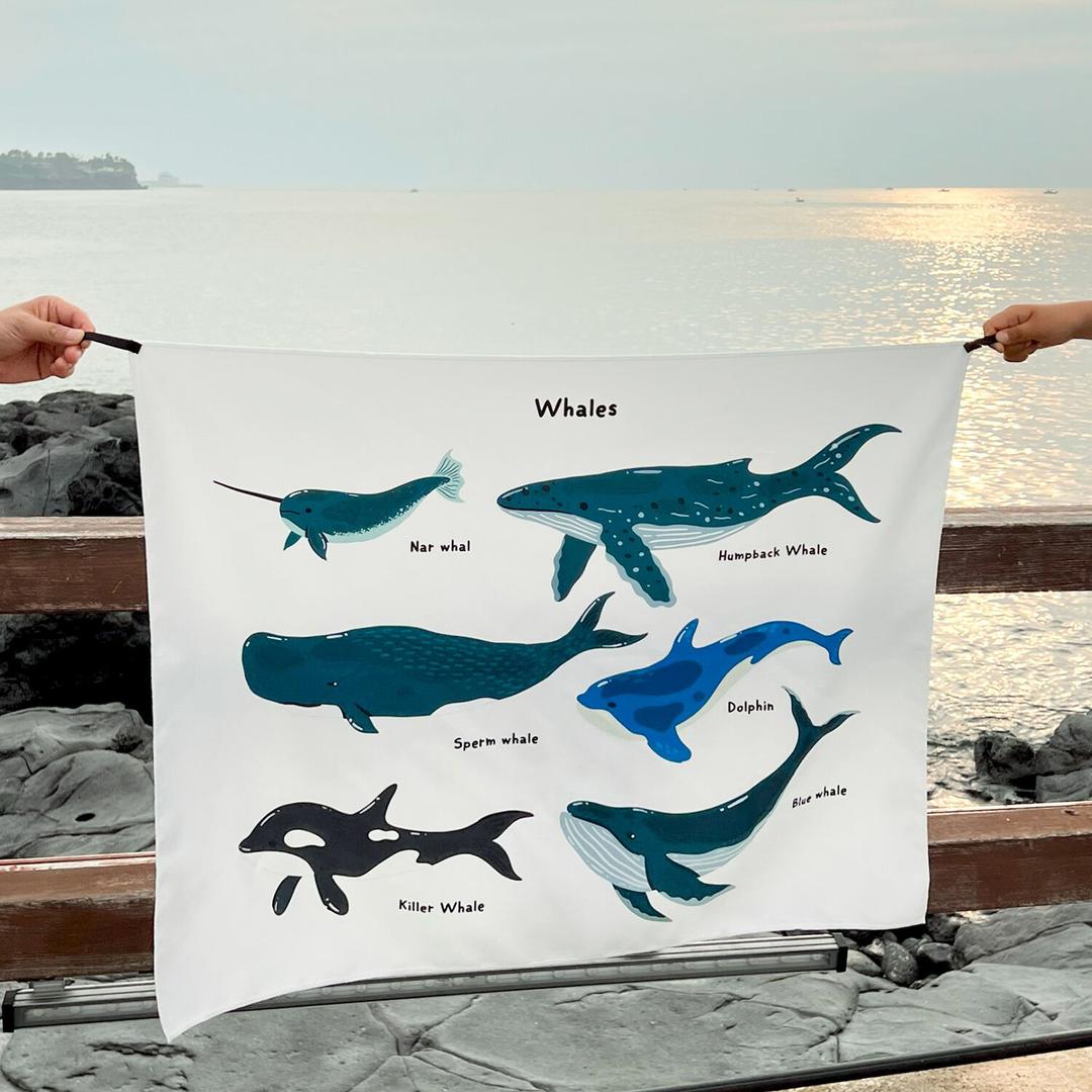 푸른빛 고래의 꿈, 인테리어 쉬폰 패브릭 포스터 8종