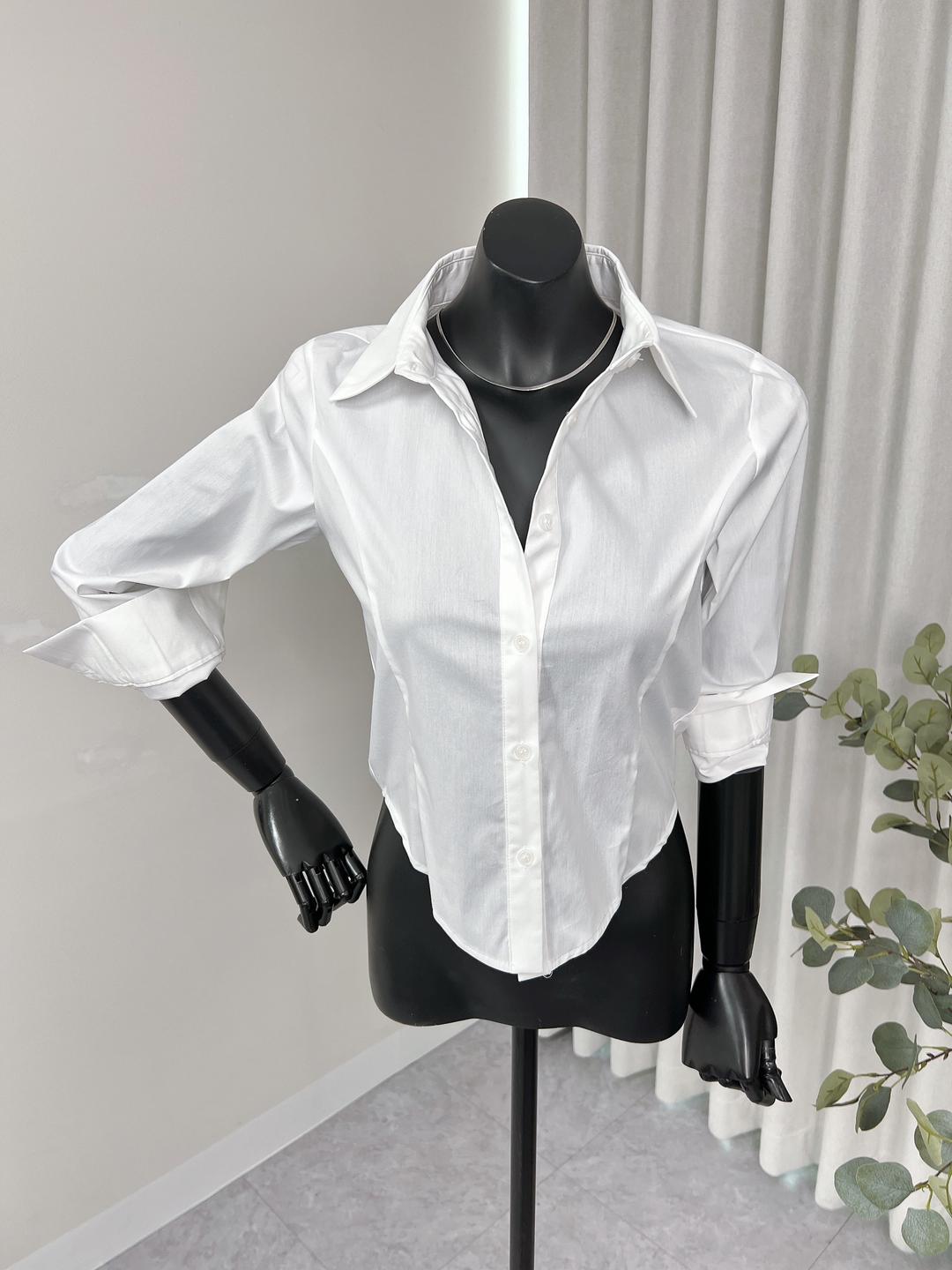 비바 기본 베이직 슬림핏 라인 스판셔츠 25S