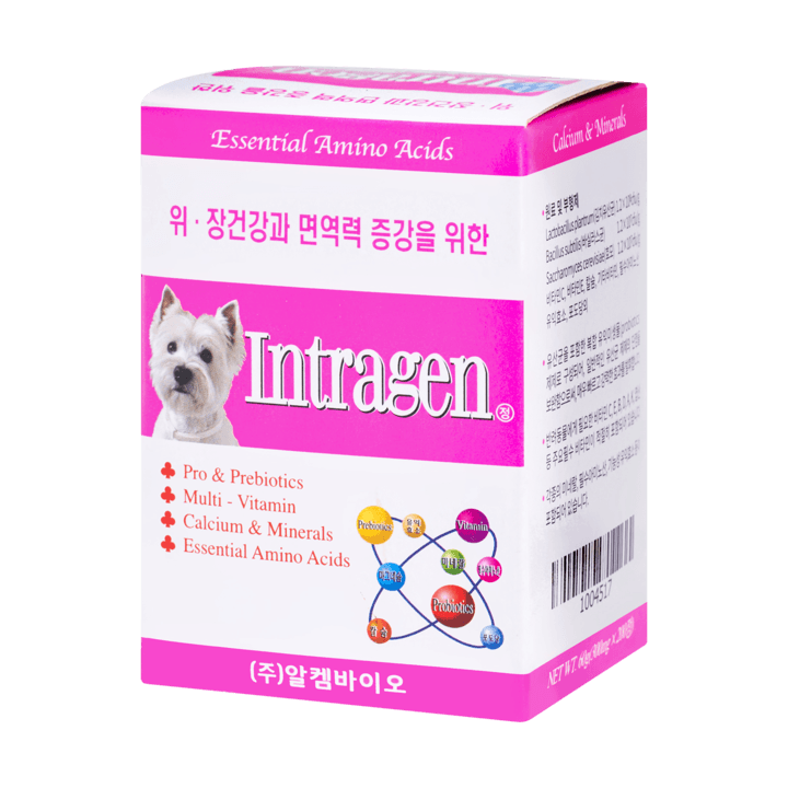 인트라젠 종합영양제 타블렛 200정