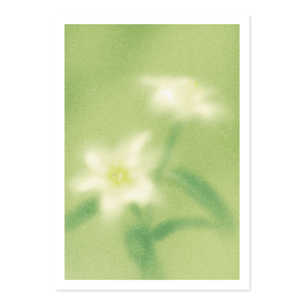 [기묘] Lily 포스터 - A3