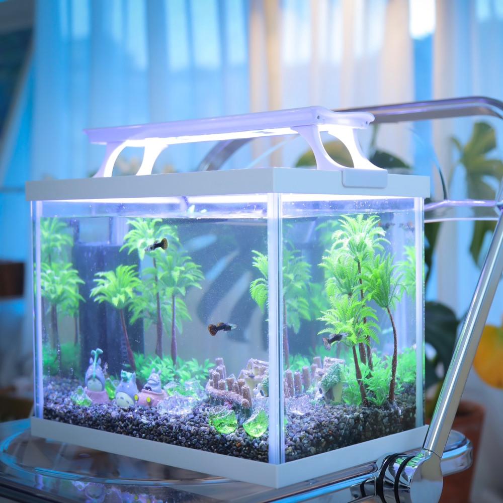 토토로 어항 풀세트 베타 구피 미니 작은 어항세트 물고기키우기 열대어 가정용 미니 수족관