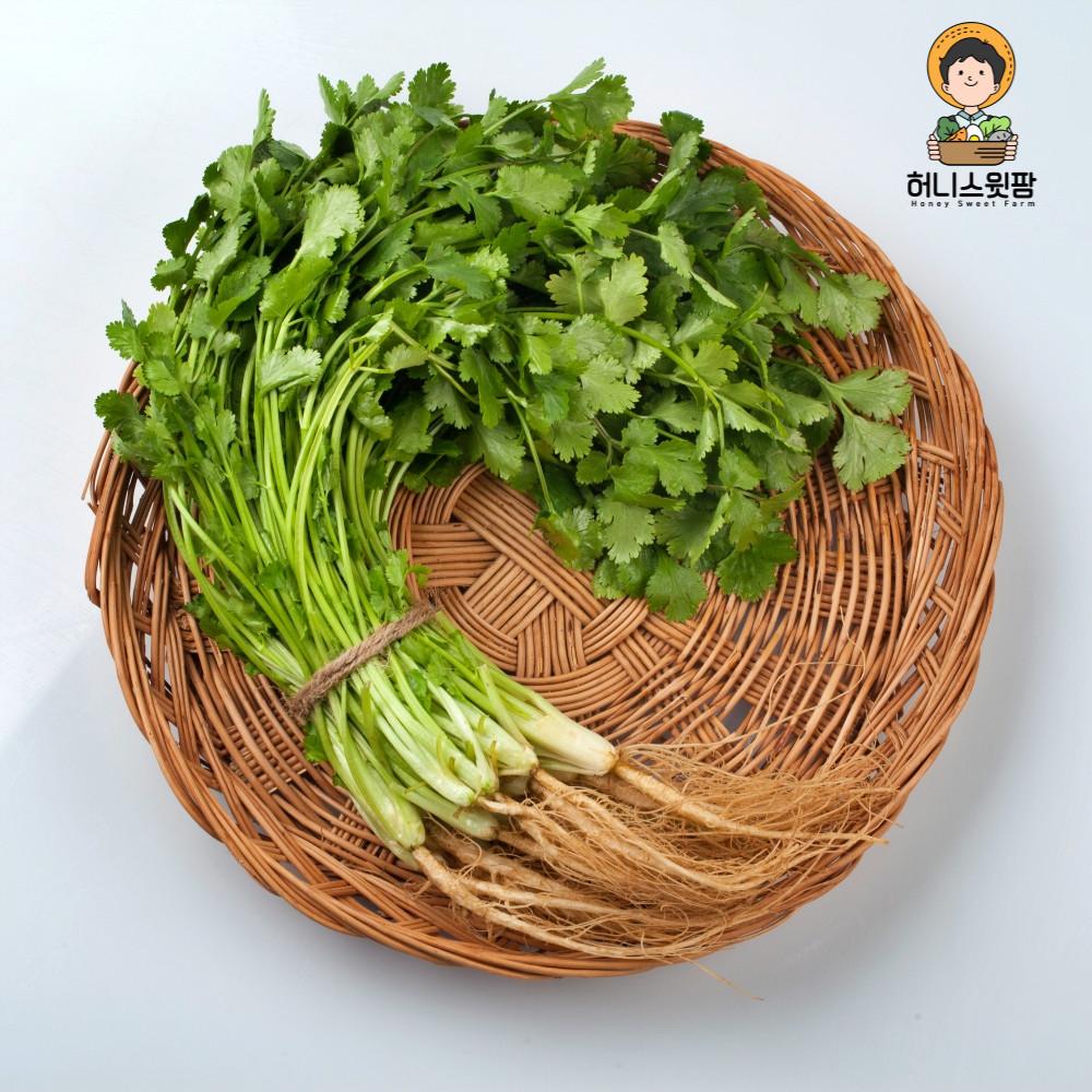 고수 나물 1kg 고수풀 500g 쌀국수 향채소 향신료 샹차이 고수 1단