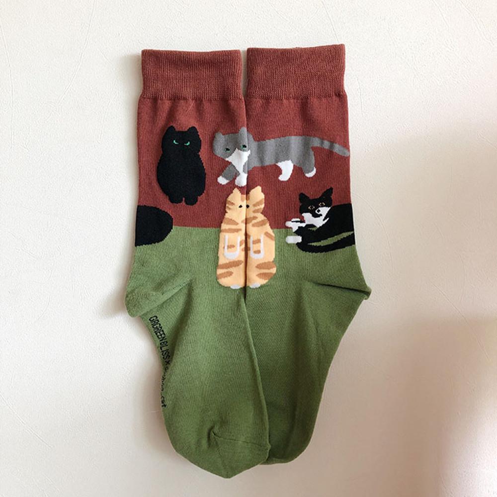 [Organic cotton] 두통볼콩