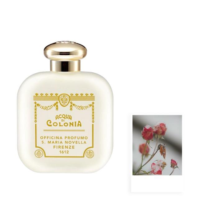 산타마리아 노벨라 아쿠아 디 콜로니아 로사 오 드 코롱 100ml