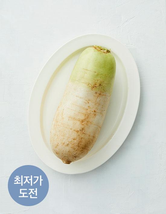 [KF365] 무 1통