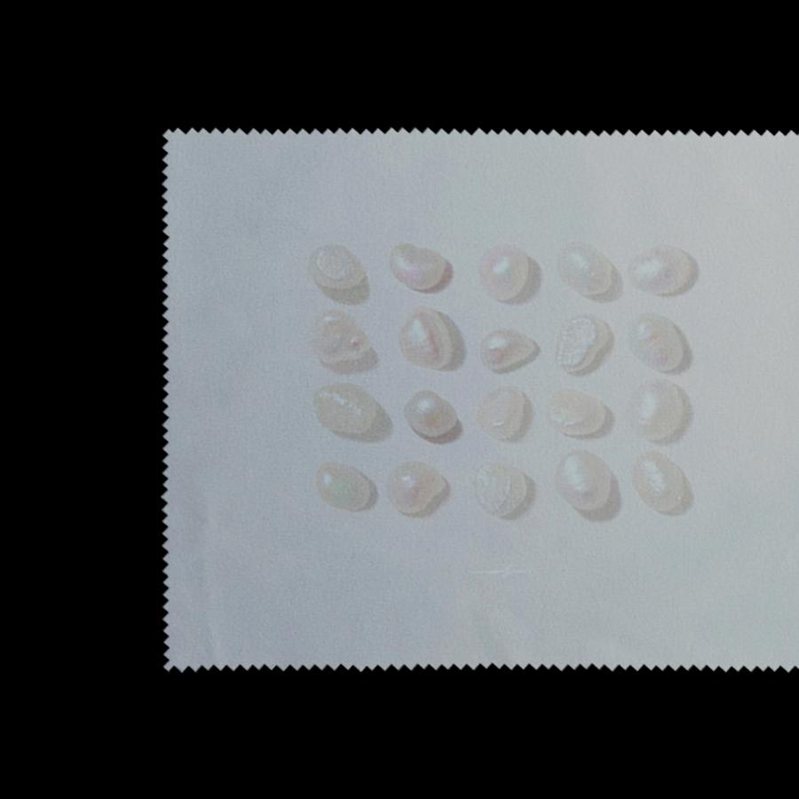 작가 옥토 안경닦이 [ pearly cleaning cloth ]