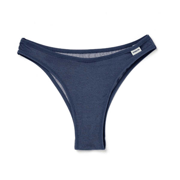Mesh Cheeky Panty(Blue gray)