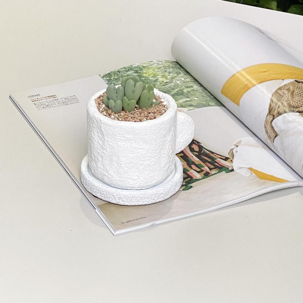 축전 구름컵화분 세트