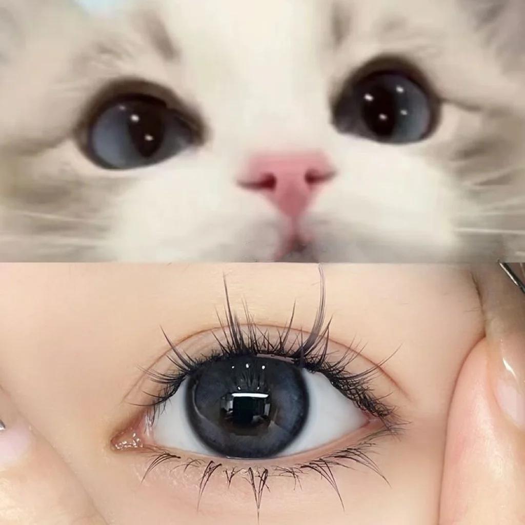 Devil Fish Blue Contact Lenses(12 months wear)