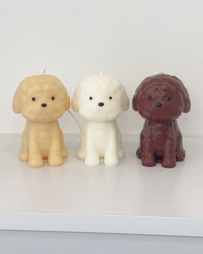[노브룸] 캔푸들 캔들  강아지 댕댕이캔들