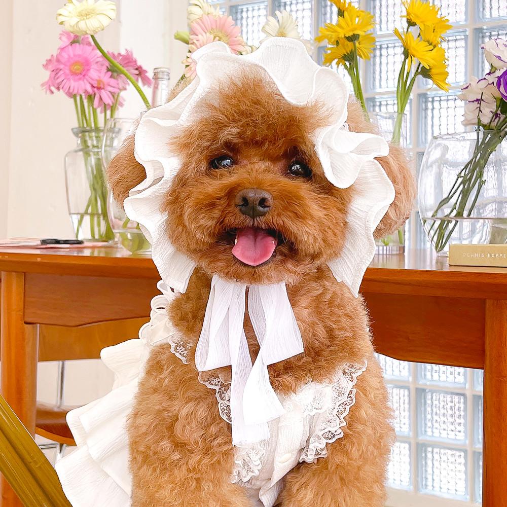 퓨어 레이스보닛 강아지 고양이 보넷 반려견 악세사리 화이트