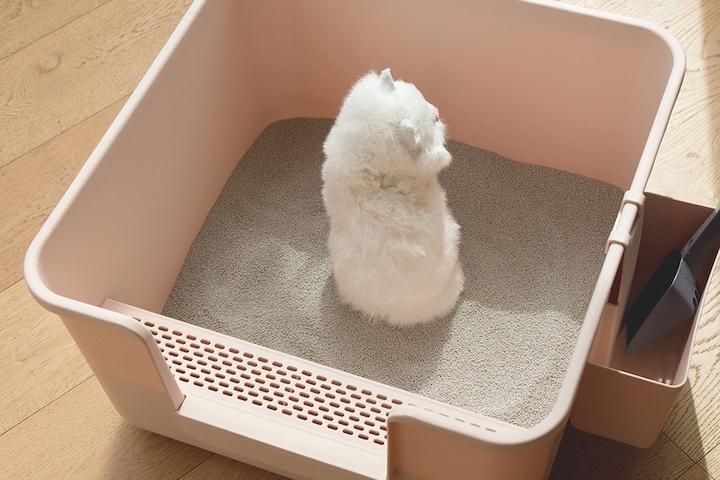 가성비 최강! 무이 초대형 고양이화장실 모래삽/발판/멀티박스 포함 4colors