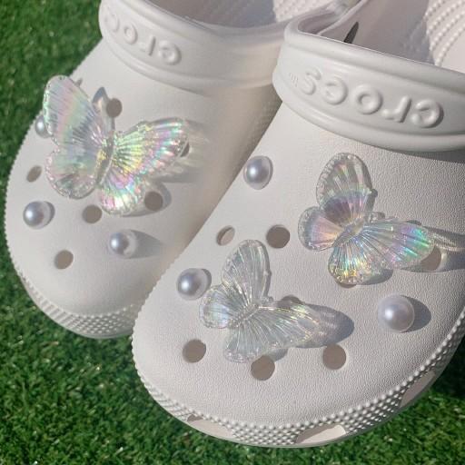 영롱✨오로라 나비 지비츠 세트