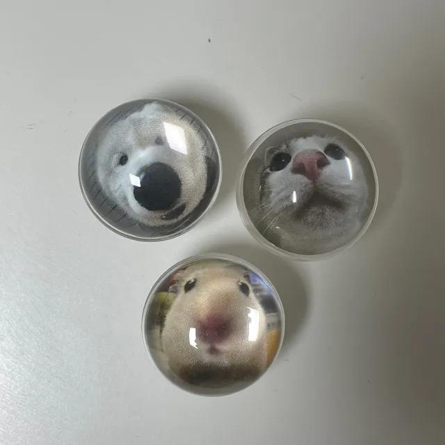 1+1[가격할인] 고양이 강아지 햄스터 반구 스마트톡  레진 투명