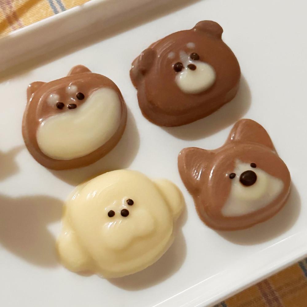 강아지 초코틀 시리즈 세트