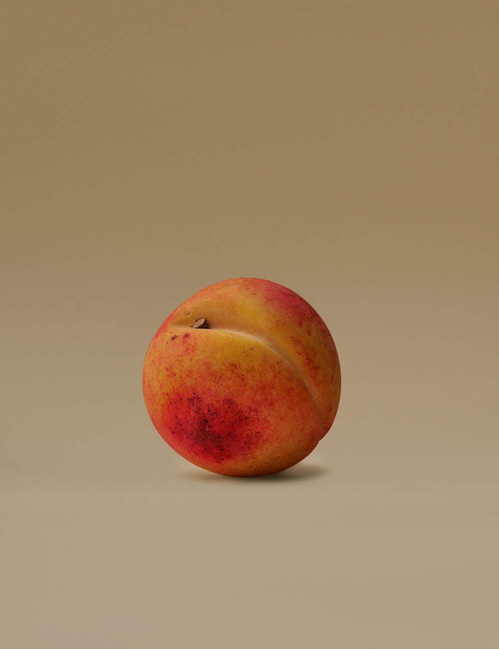ROUND PEACH | 동글 복숭아
