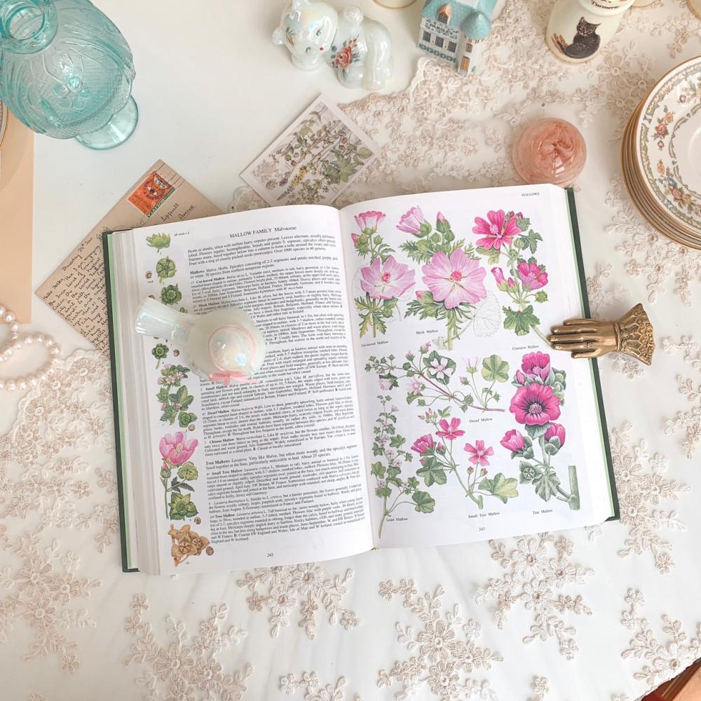 [중고] 유럽 플라워 식물도감 플라워도감 빈티지책