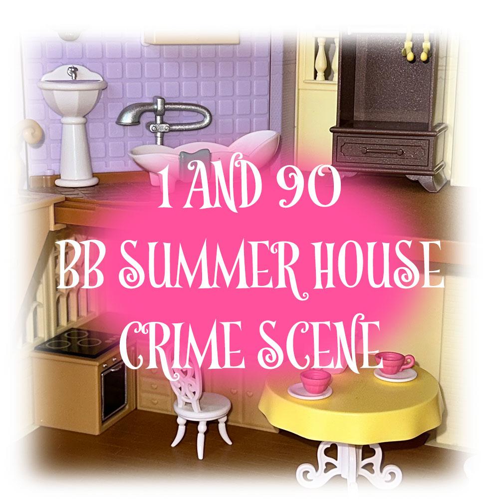[Glossy Hard Case] BB And Summer House