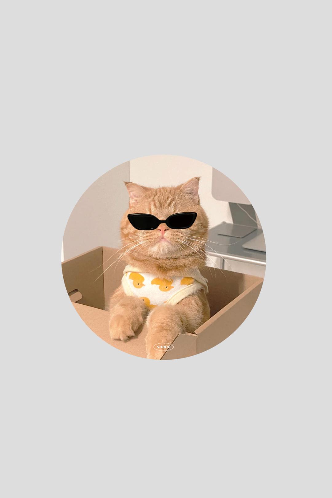 체다 마우스패드
