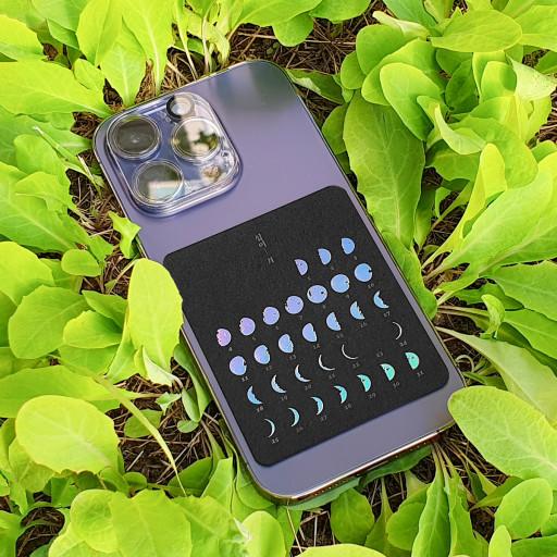 <2024년 [Mini Ver.] 달빛을 담은 달력>