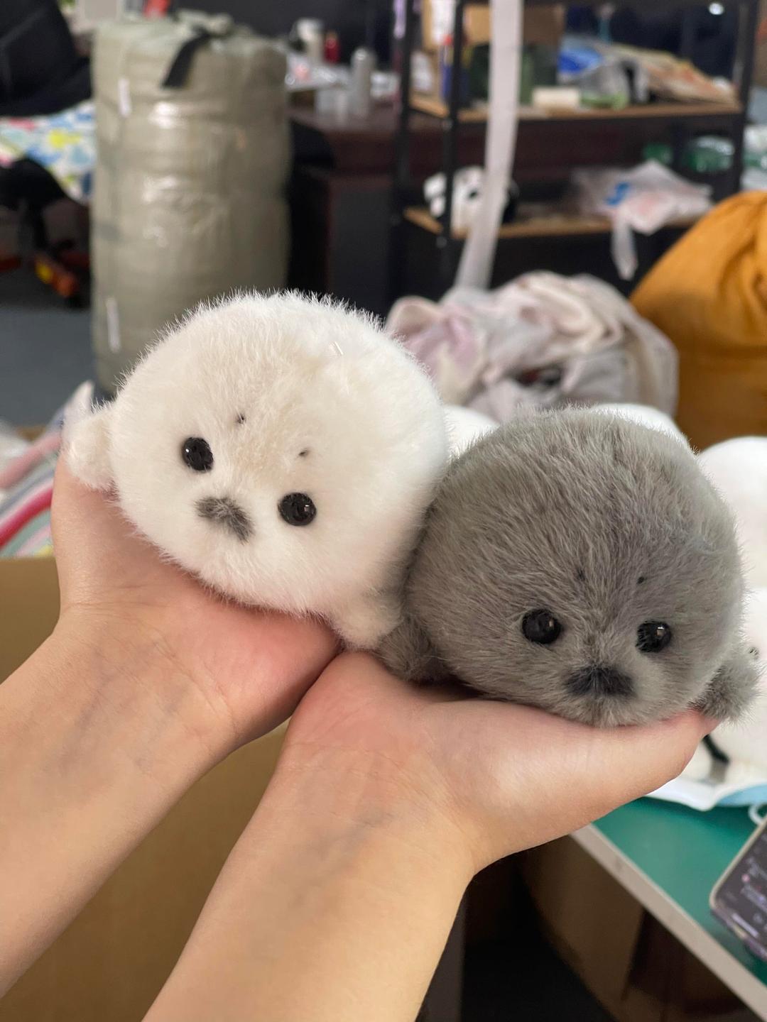 Mini seals v2🦭