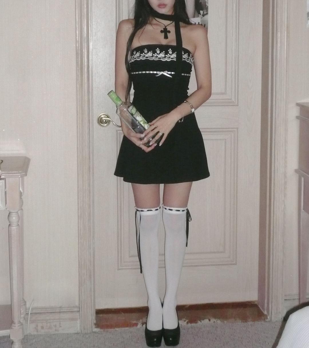 Embroidered Lace Charm Dress