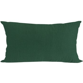 30 Essology Green Cushion 30 에쏠로지 그린 쿠션