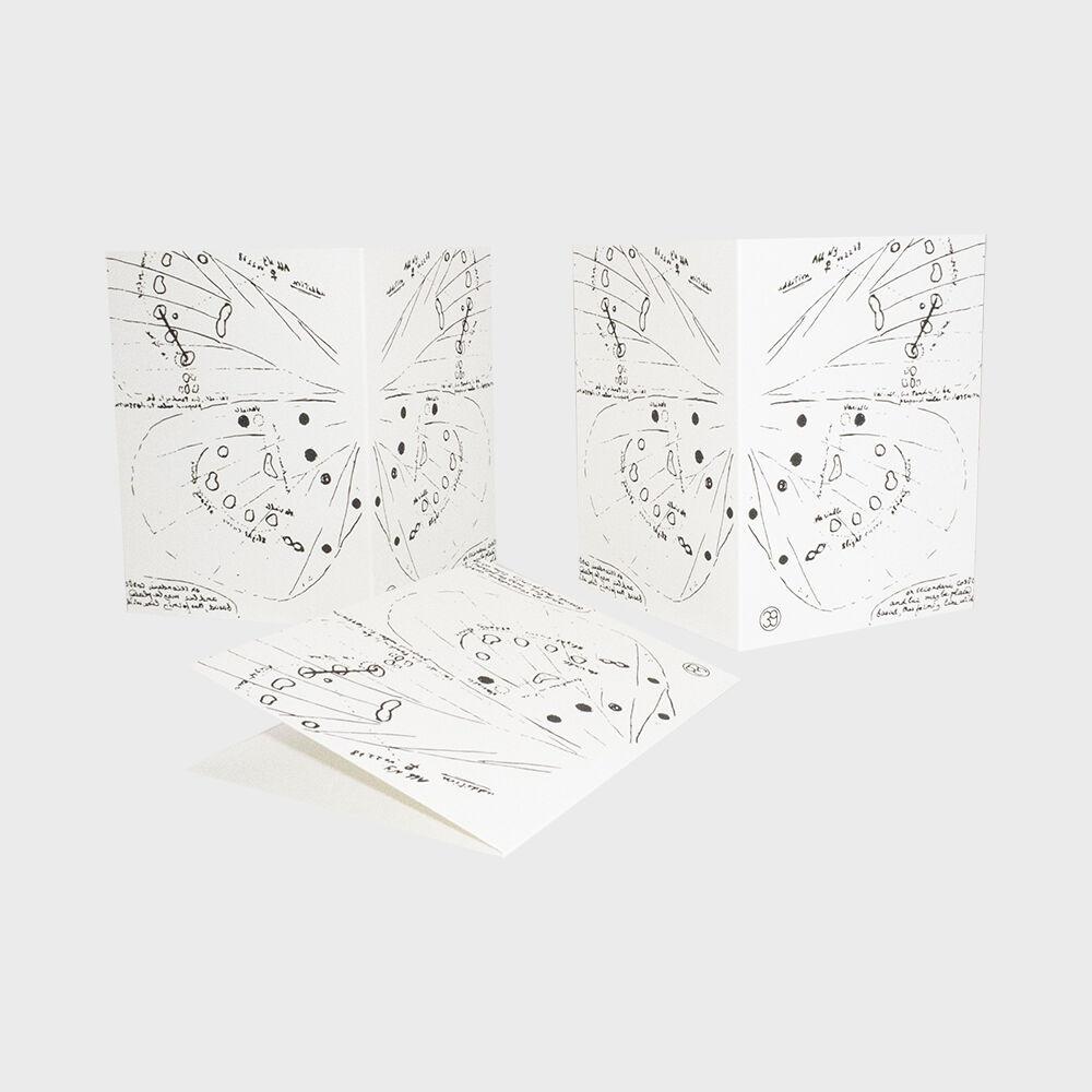 39 Butterfly card
