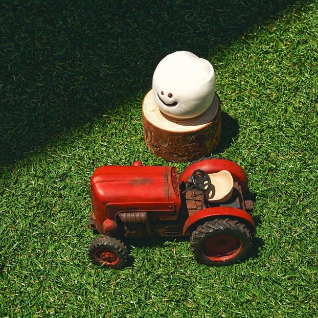 [다이노탱] Mini Marsh on the field_Plush Doll