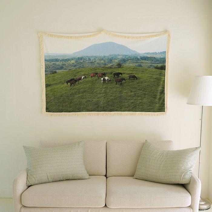 JEJU mountain horse 테슬 블랭킷