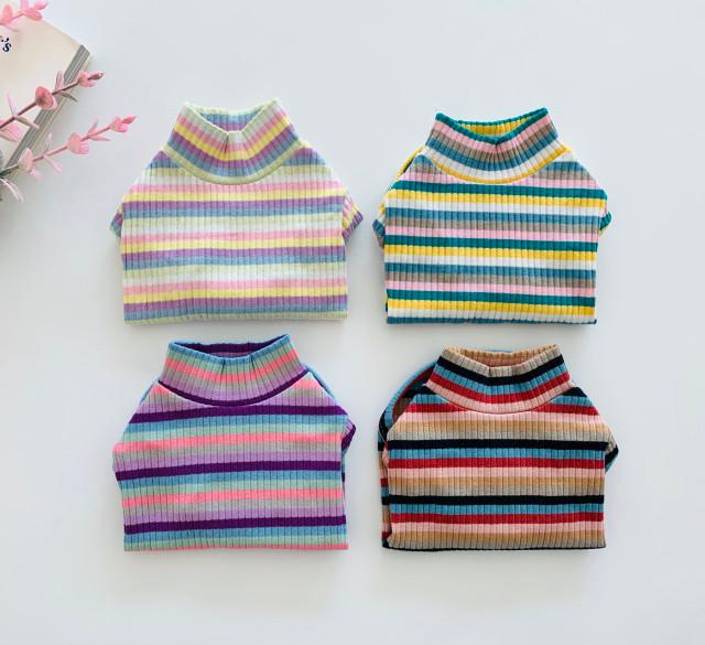 강아지 애견 댕댕이 가을 겨울 레모나 폴라티